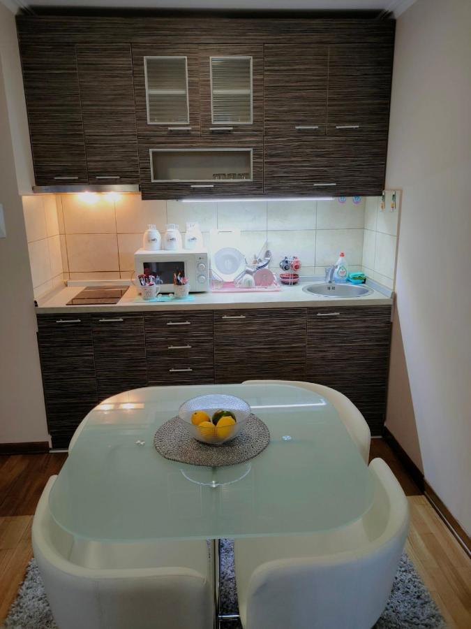 Apartman Jovanovic Vrnjačka Banja 外观 照片